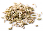 Fennel Seed Extract powder